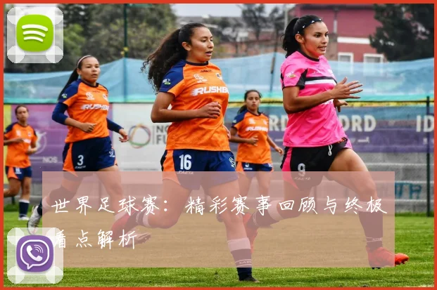 世界足球赛：精彩赛事回顾与终极看点解析